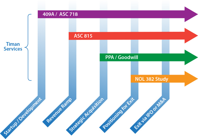 timan-services-chart